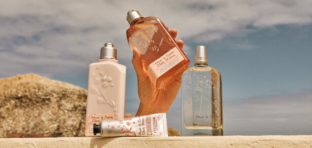 The Art of Fragrance Layering L Occitane NZ